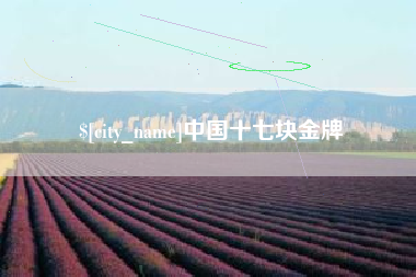 东至中国十七块金牌
