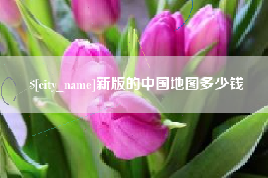 东至新版的中国地图多少钱