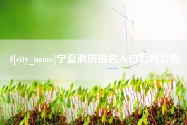 东至宁夏消防报名入口官网公告