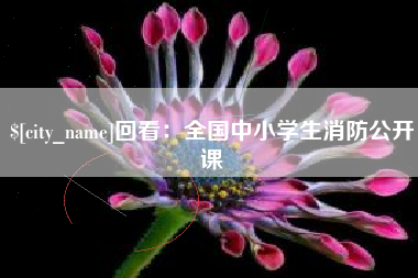 东至回看：全国中小学生消防公开课