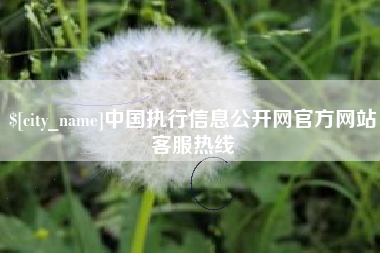 东至中国执行信息公开网官方网站客服热线