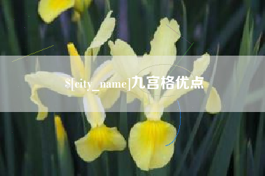东至九宫格优点
