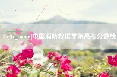 东至中国消防救援学院高考分数线