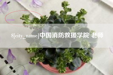 东至中国消防救援学院 老师