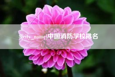 东至中国消防学校排名