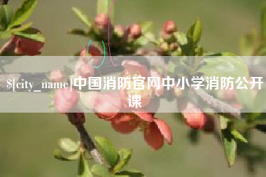 东至中国消防官网中小学消防公开课