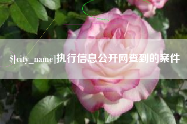 东至执行信息公开网查到的案件