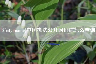 东至中国执法公开网征信怎么查询
