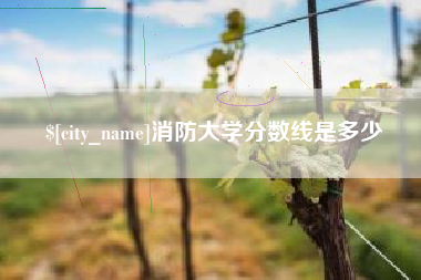 东至消防大学分数线是多少