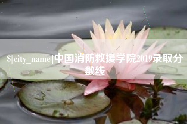东至中国消防救援学院2019录取分数线