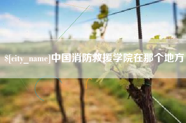 东至中国消防救援学院在那个地方