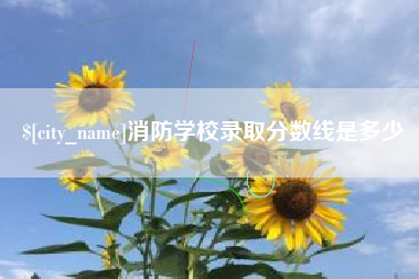 东至消防学校录取分数线是多少