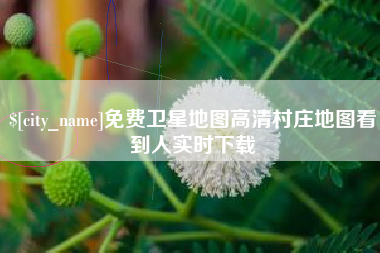 东至免费卫星地图高清村庄地图看到人实时下载