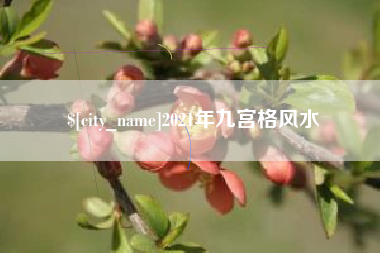 东至2021年九宫格风水