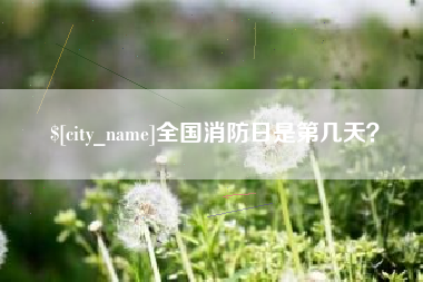 东至全国消防日是第几天？