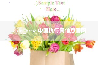 东至中国执行网信息官网