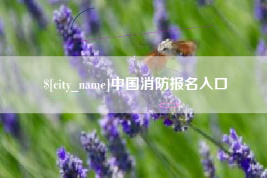 东至中国消防报名入口