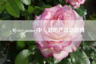 东至中囯消防产品信息网