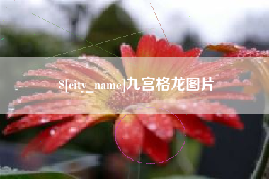 东至九宫格龙图片