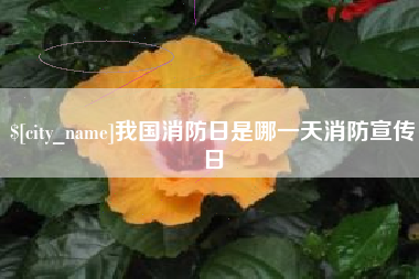 东至我国消防日是哪一天消防宣传日