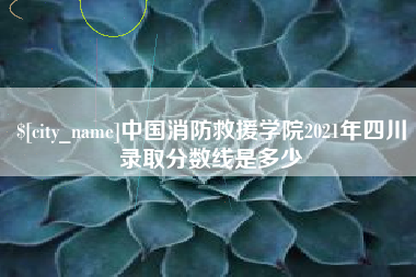 东至中国消防救援学院2021年四川录取分数线是多少