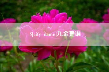 东至九金是谁