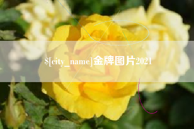 东至金牌图片2021