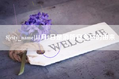 东至11月9日是消防安全日的由来