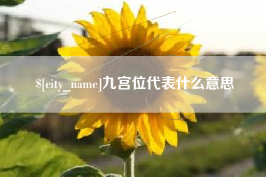 东至九宫位代表什么意思