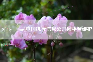 东至中国执行信息公开网平台维护