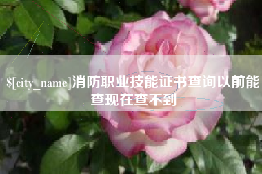 东至消防职业技能证书查询以前能查现在查不到