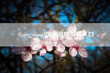 东至国家消防报名入口
