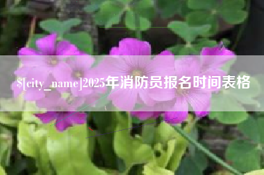 东至2025年消防员报名时间表格