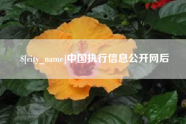 东至中国执行信息公开网后