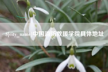 东至中国消防救援学院具体地址