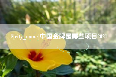东至中国金牌是哪些项目2021