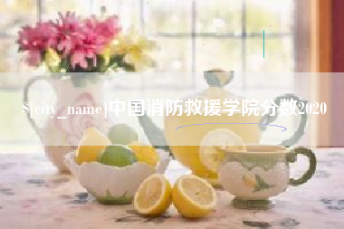 东至中国消防救援学院分数2020
