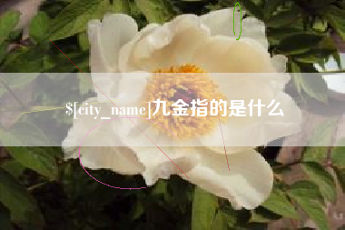 东至九金指的是什么