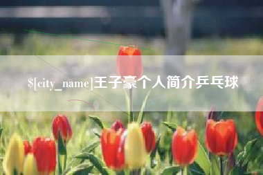 东至王子豪个人简介乒乓球