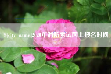 东至2020年消防考试网上报名时间