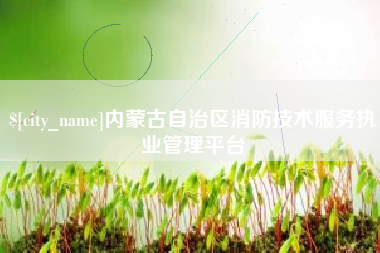 东至内蒙古自治区消防技术服务执业管理平台