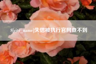 东至失信被执行官网查不到