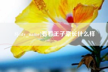 东至看看王子豪长什么样