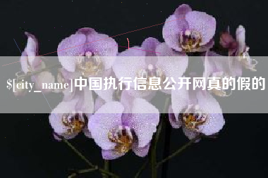东至中国执行信息公开网真的假的