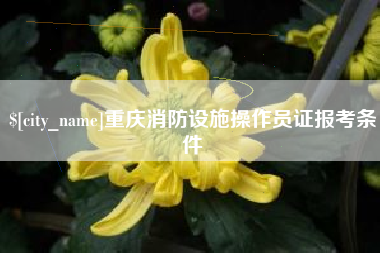 东至重庆消防设施操作员证报考条件