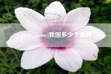 东至我国多少个金牌