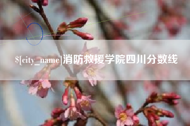 东至消防救援学院四川分数线