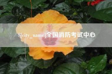 东至全国消防考试中心