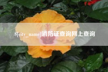 东至消防证查询网上查询
