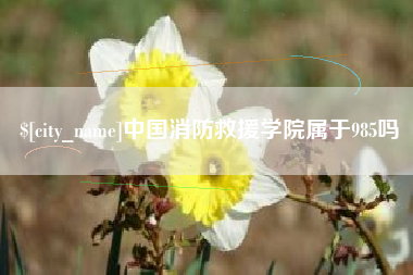 东至中国消防救援学院属于985吗